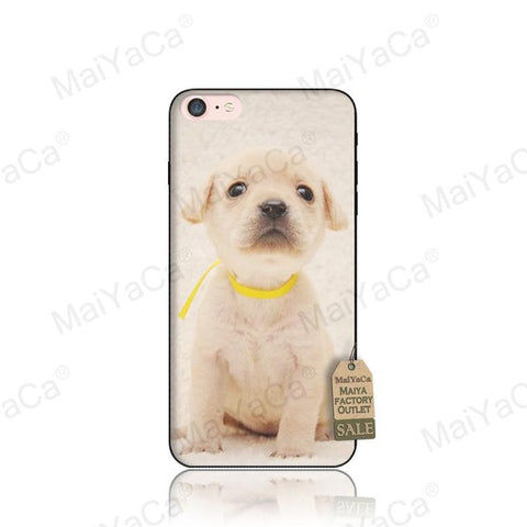 MaiYaCa Dog And Cat With Glasses Wolf Coque Shell Phone Case for Apple iPhone 8 7 6 6S Plus X 5 5S SE Cover - Wolfmall